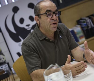 WWF recurrirá a TJUE la caza del lobo si está en estado desfavorable: «Hay que apostar por la coexistencia»