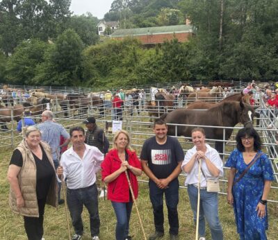 Más de 1.300 reses de 71 ganaderías participan en la concentración y exposición de ganado en Ampuero
