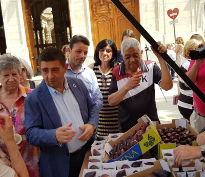 Jaén.- MásJaén.- Jimena espera producir más de 50.000 kilos de breva esta temporada