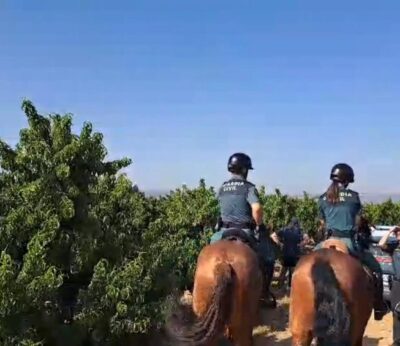 La Guardia Civil refuerza su vigilancia durante la campaña de la recogida de la fruta en la Comarca del Bajo Cinca