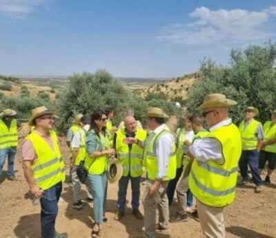 El MAPA supervisa las obras de regadíos sostenibles en Mora y Mascaraque, que finalizarán en la primavera de 2027