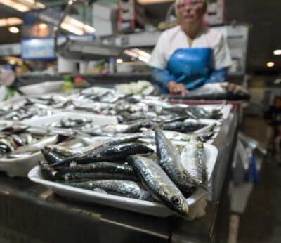Consello.- El Bono Peixe podrá descargarse desde el 28 de julio con 50 euros por beneficiario