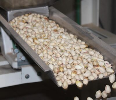 La cosecha de pistacho en C-LM alcanzará las 8.900 toneladas, el cuádruple que el año pasado, según Cooperativas