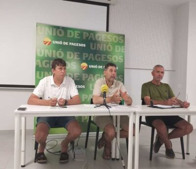 Agro.- Unió de Pagesos alerta de la tendencia a la baja del sector porcino hasta junio