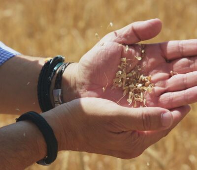 Agro.- Casa Tarradellas suma un nuevo centro de investigación para reforzar su estrategia en I+D