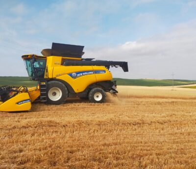 Agro.- Asaja asegura que la cosecha de cereales ha sido mejor que en 2023 y 2024 en Catalunya