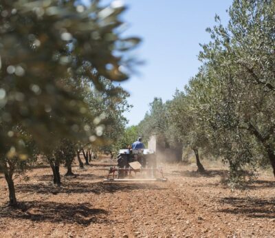 Andalucía «plantará batalla» para que el recorte de la PAC «no se lleve hacia adelante»