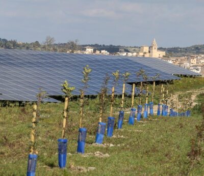 ARCA alerta del «desastre paisajístico y patrimonial» que suponen los grandes parques fotovoltaicos en suelo rústico