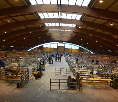 Rural.- El Ayuntamiento de Siero mejorará 15 jaulas del Mercado Nacional de Ganados