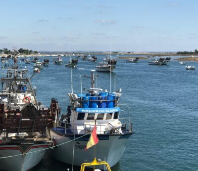 Huelva.- El PSOE de Punta Umbría presenta una moción contra el recorte del 67% en los fondos europeos para la pesca