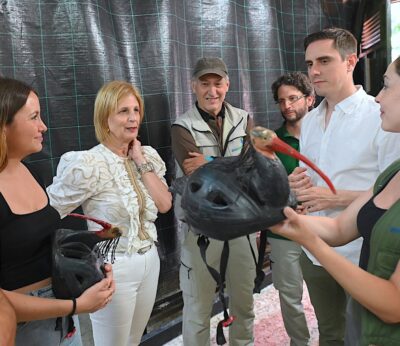 Cádiz.-JerezAlDía.- Alcaldesa subraya la labor del Zoo en la reintroducción del ibis eremita en la provincia