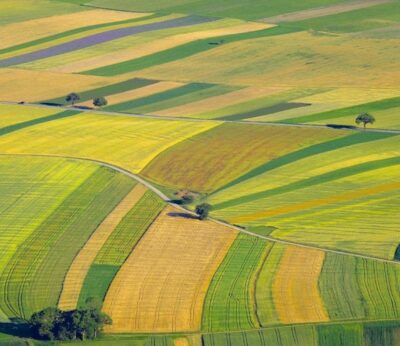 Canarias lidera el ranking del precio medio de la tierra de cultivo por hectárea en 2024, que alcanza los 148.415 euros