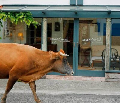 Casi treinta restaurantes asturianos incluidos en la nueva Guía Gastro Sostenibles