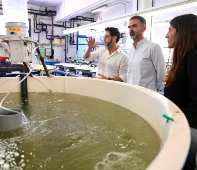 Consejo.-Ayudas por 4,25 millones para mejorar la producción ycomercialización de la pesca y la acuicultura