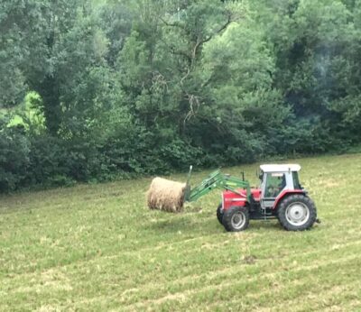 Rural.- Agricultura asigna 10,8 millones de la reserva nacional de ayuda básica a 2.336 agricultores y ganaderos