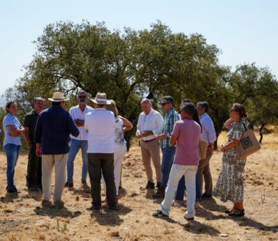 La Junta ampliará la convocatoria de ayudas a la ganadería extensiva con otros 22 millones de euros para 2026 y 2027