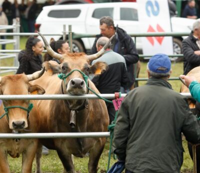 Rural.- Más de una veintena de agricultores y ganaderos gallegos se beneficiarán de ayudas asignadas por el Gobierno