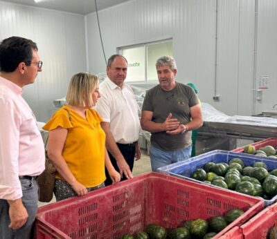Gobierno de C-LM valora positivamente la campaña de melón y sandía en la región, aunque lamenta los precios bajos