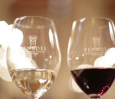 Agro.- La DO Penedès lamenta que el sector vinícola haya quedado fuera de la reducción de aranceles