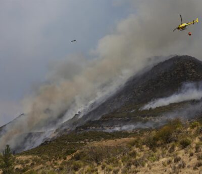 Aprobadas subvenciones directas de 5.500 euros a 460 agricultores y ganaderos afectados de CyL por los incendios