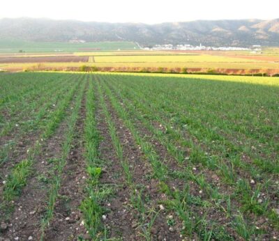 Asaja-A pide a la Junta mejoras para conseguir «un trato igualitario» con la nueva Ley sobre Producción Ecológica