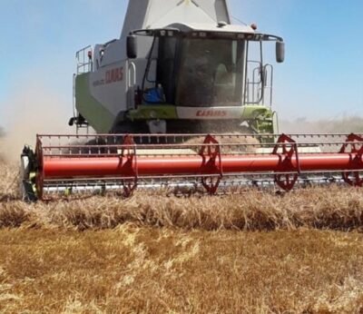 Agricultura activa la aplicación directa de las subvenciones a los seguros agrarios en el momento de su contratación