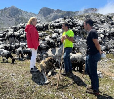 El Gobierno destaca el papel «crucial» de la ganadería extensiva en la economía y sostenibilidad rural