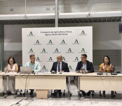 La Junta estima una producción de 131.442 toneladas de algodón para la próxima campaña