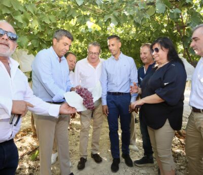 Agricultores de uva de mesa del Vinalopó piden que se respalde al sector para poder mantener los cultivos
