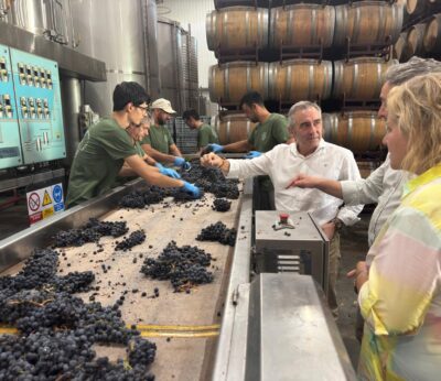 Agricultura destina más de 15,3 millones de euros en el sector vitivinícola para reforzar su papel estratégico