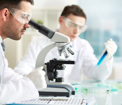 Huelva.- Declarado un foco de gripe aviar en una granja de aves de corral en El Cerro del Andévalo