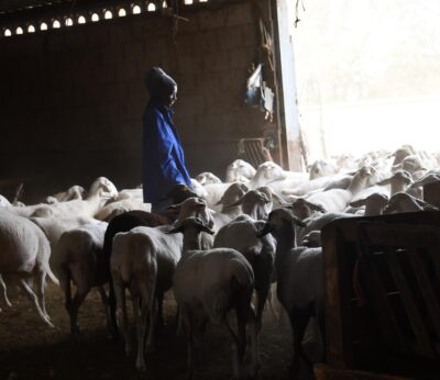 La Escuela de Pastores ya ha prestado formación a 437 personas en Castilla-La Mancha