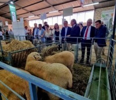 Quintana avanza que el Gobierno propondrá en la nueva PAC un apoyo específico para la ganadería extensiva