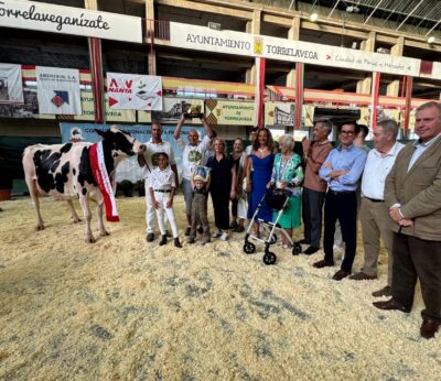 La ganadería Cudaña triunfa en el Concurso Morfológico de Ganado Frisón