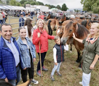 Unas 1.200 cabezas de ganado y 58 ganaderías participan en la Feria Virgen del Camino de Molledo