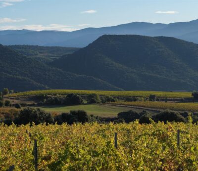 Agro.- Familia Torres renueva su colaboración con la Federació ADF Penedès Garraf