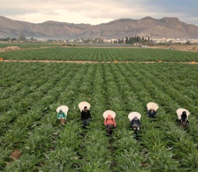 Alicante.- Convega pone en valor la huerta de la Vega Baja y el trabajo del sector agrario