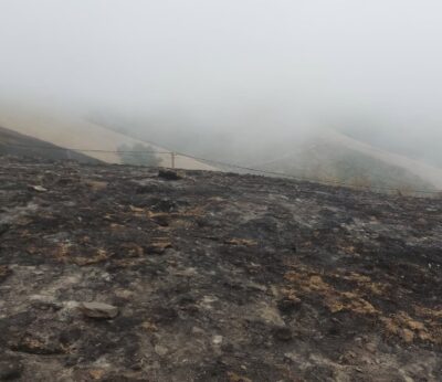 Rural.- URA reclama una respuesta al Gobierno sobre sus propuestas en materia de incendios