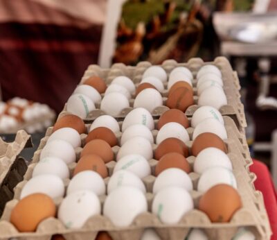 Hong Kong suspende las importaciones de carne y huevos procedentes de zonas como Badajoz ante casos de gripe aviar