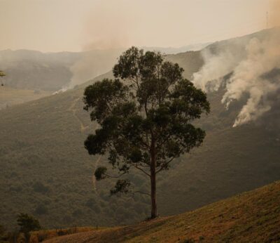 Rural.- La Diputación de Ourense crea la mesa de trabajo para abordar la prevención y extinción de incendios forestales