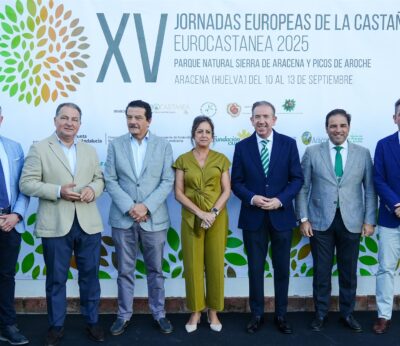La Junta defiende la rentabilidad del castañar como «garantía de futuro» para este ecosistema
