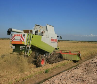 AVA-Asaja advierte que la rentabilidad del arroz «peligra» por el descenso de «mínimo el 15%» de la producción y precios