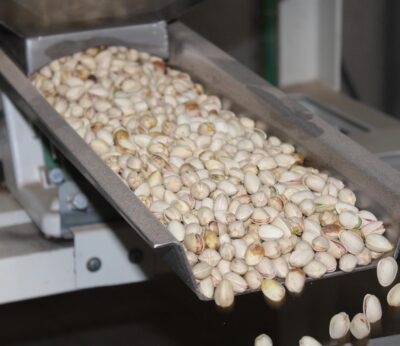 Cooperativas revisa a la baja en un 6% la previsión de cosecha de pistacho en C-LM hasta las 8.400 toneladas