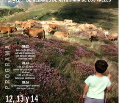 Rural.- Somiedo celebra el XXXII Certamen Nacional de Rebaños de Asturiana de los Valles