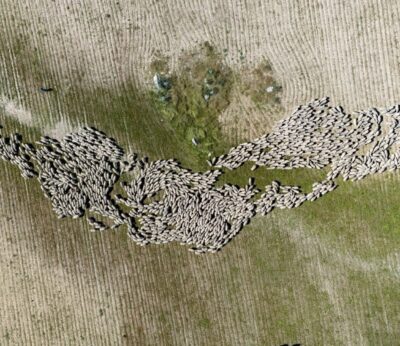 Un seminario en Cáceres reúne a expertos para debatir sobre la importancia de la trashumancia