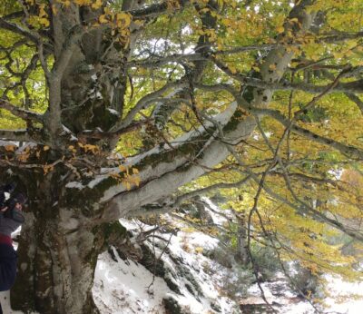 Los espacios naturales de C-LM programan 40 actividades gratuitas con minería, arte rupestre y rutas en el catálogo
