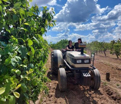 La Junta concederá préstamos garantizados de hasta 600.000 euros a jóvenes agricultores y modernización de instalaciones