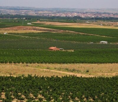 Agro.- El Govern convoca ayudas a regantes afectados por la sequía de 2024 por 2,8 millones