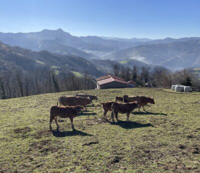Rural.- El plan Incorpórate al Agro distribuye 10 millones entre 151 personas