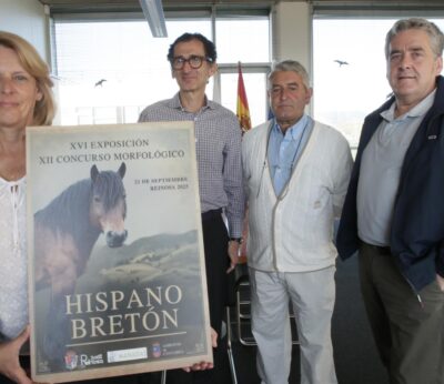 Reinosa reunirá el domingo a 15 ganaderías y 55 ejemplares de raza equina hispano-bretona